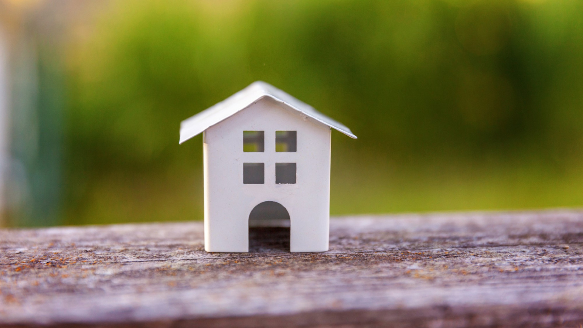 Mérule dans une maison : pourquoi un traitement rapide est indispensable ?